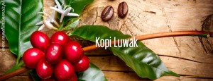 pol_pl_Indonezja-Kopi-Luwak-57_3